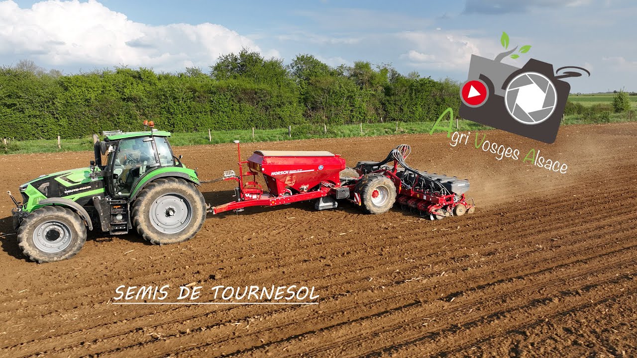 Semis de tournesol 🌻 : HORSCH MAESTRO 12 CV