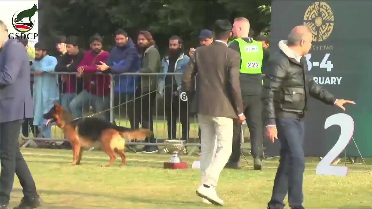 Pakistan Siger Show 2024 Day 2