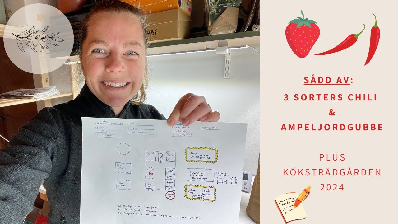 3 SORTERS CHILI, AMPELJORDGUBBE OCH PLANERING AV KÖKSTRÄDGÅRDEN 2024