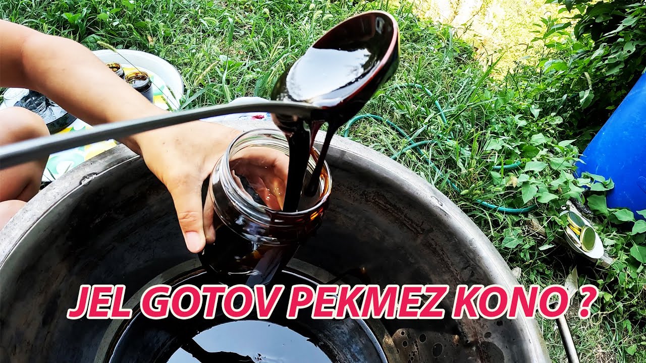 ISPEKLI SMO PEKMEZ OD JABUKA I UBRALI PRVU DINJU IZ VISOKIH GREDICA