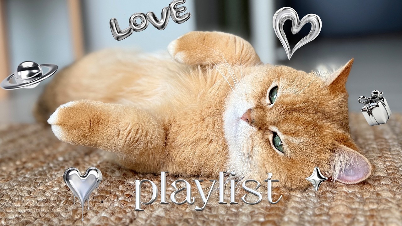 Playliat | 커피 한잔 마시며 듣는 카페 재즈으으으 ☕ | 편안한 재즈 플레이리스트 준배했습니더… 작업 & 집중, 드라이브 감성 재즈 ☕🎷