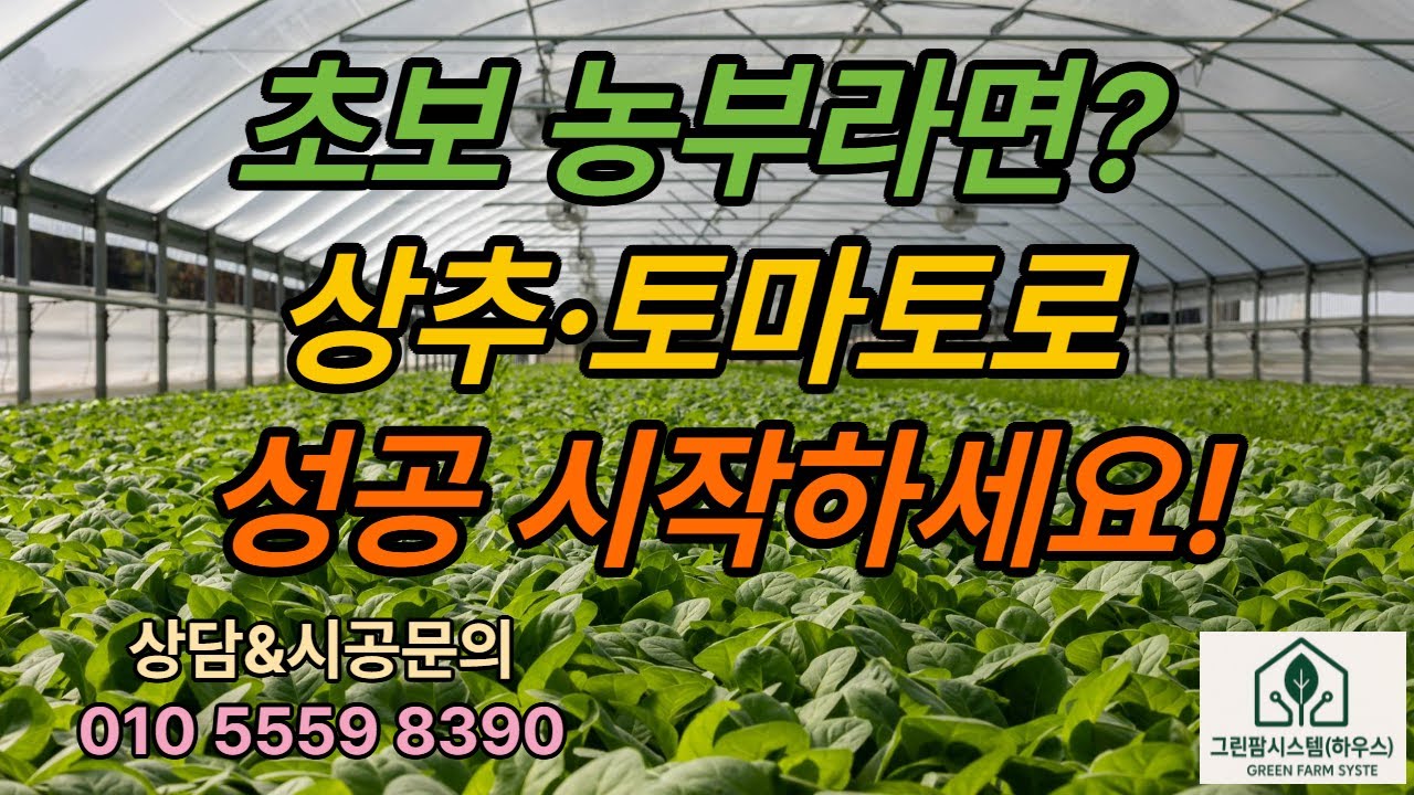 비닐하우스 작물 선택 꿀팁