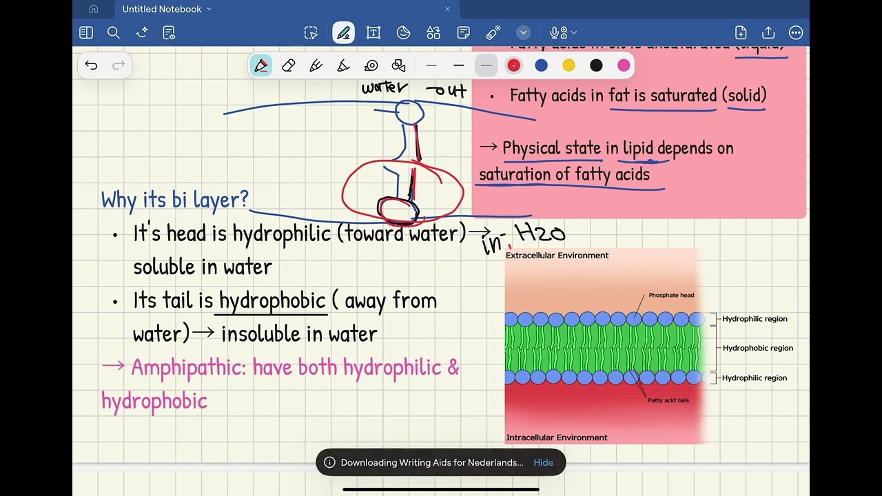 LO 3 biology G10 STEM (part 1)