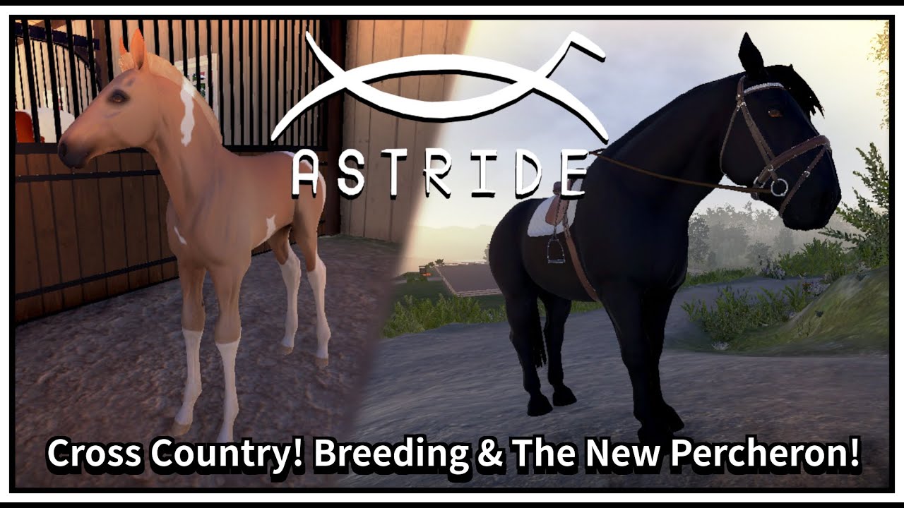 Верхом: наблюдение за разведением! Кросс-кантри и новый першерон!