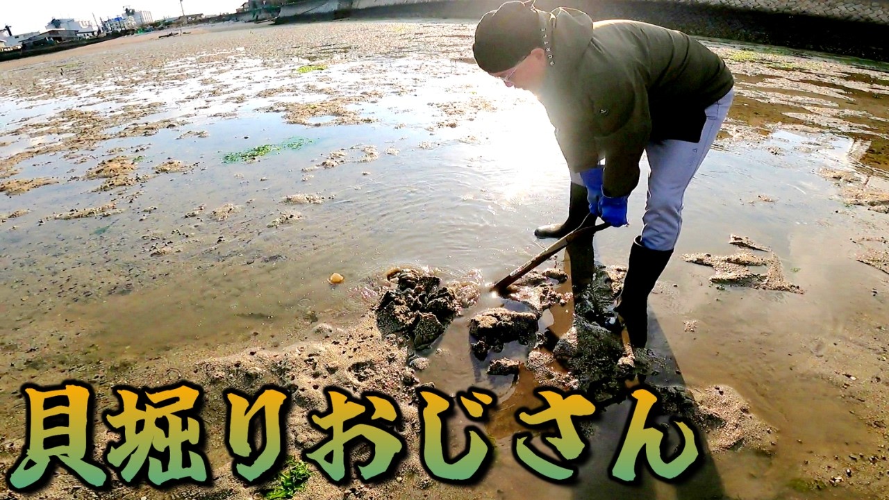 漁師の磯仕事｜アサリの畑と港の日常 #大野あさり#マテ貝#漁師の休日