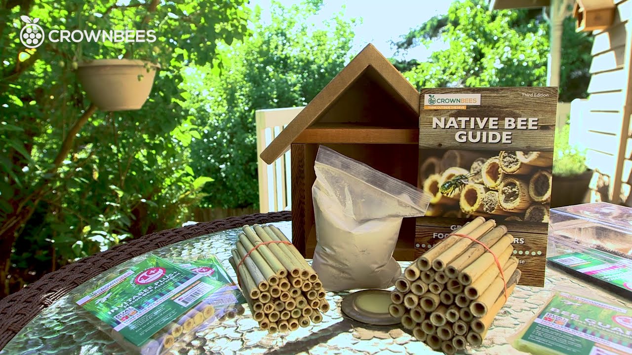 Unboxing Crown Bees Chalet Kit - Bee House with Bees