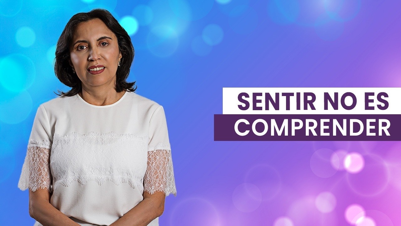 Sentir no es comprender