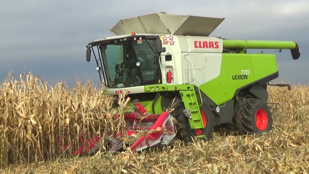 Комбайны Claas Lexion 770 и 760 работают на уборке кукурузы в СПК 