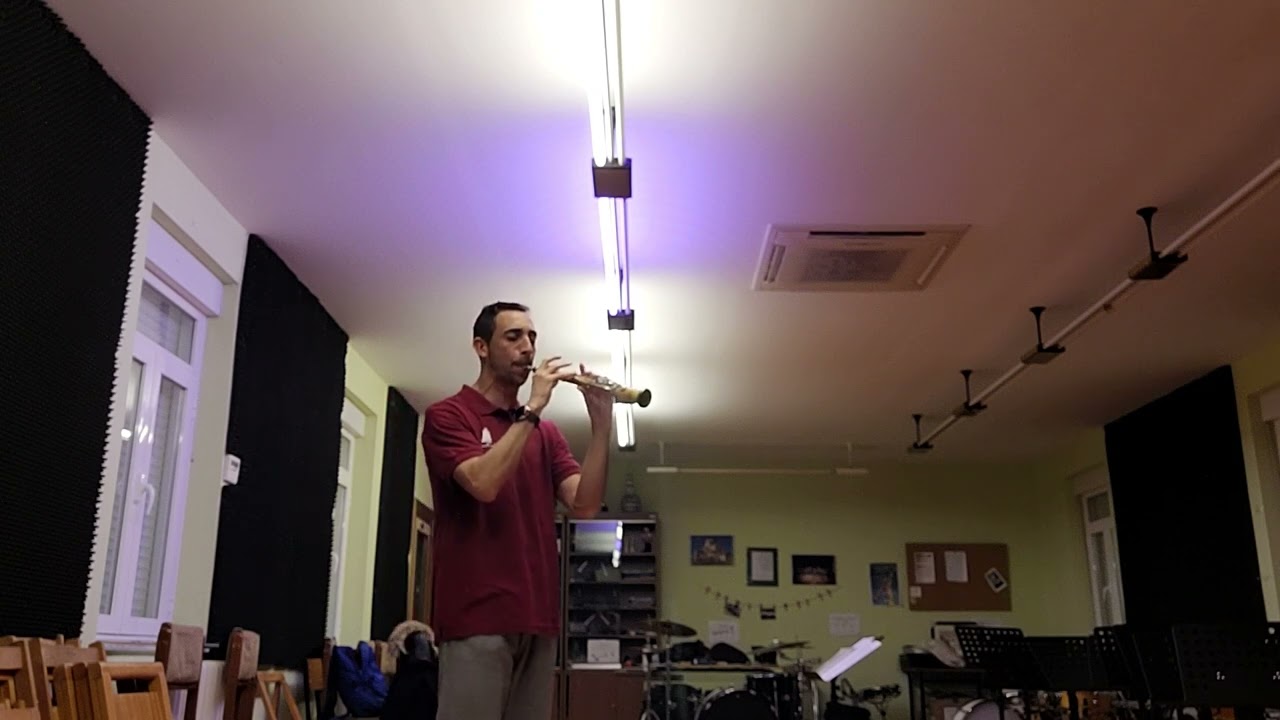 Pasodoble que tocaban 