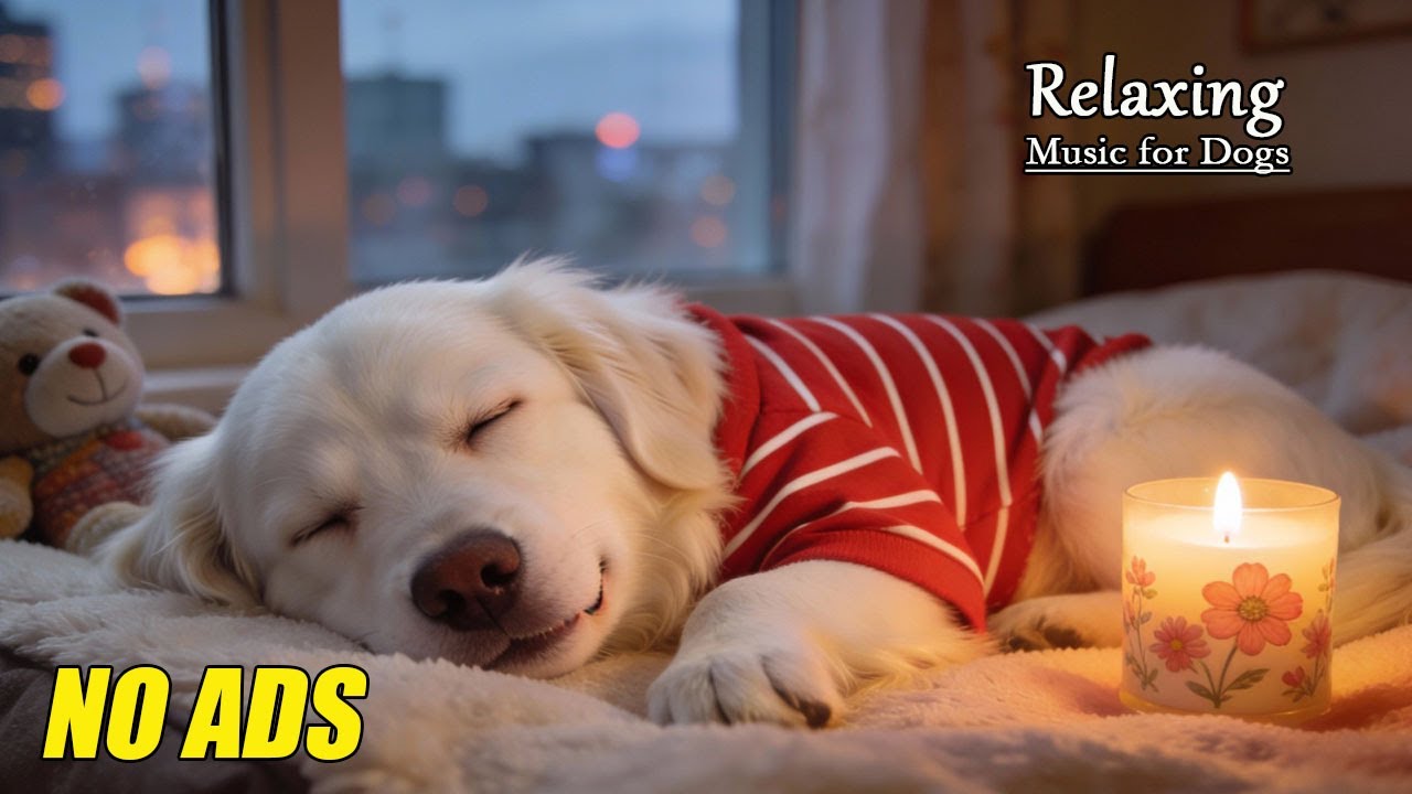 Calm Piano Music for Dogs Home Alone 🏡 Separation Anxiety Relief