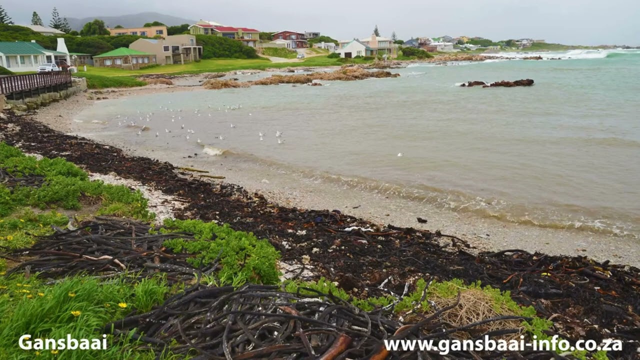 Gansbaai Information Directory