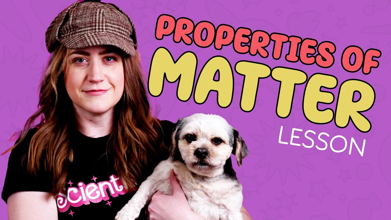 Properties of Matter | Detective Shelley Solves the Missing Bone Mystery