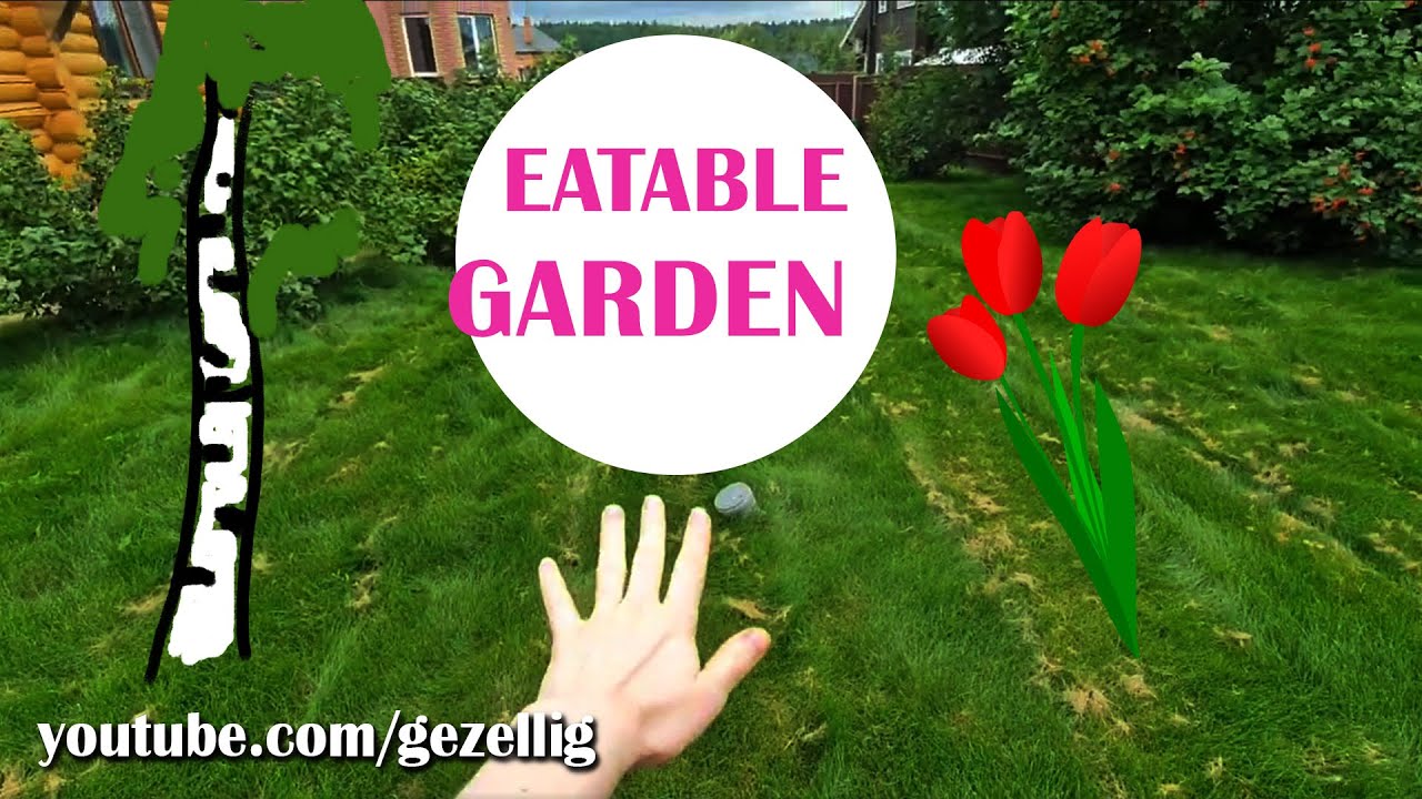Typical DUTCH vs RUSSIAN garden design