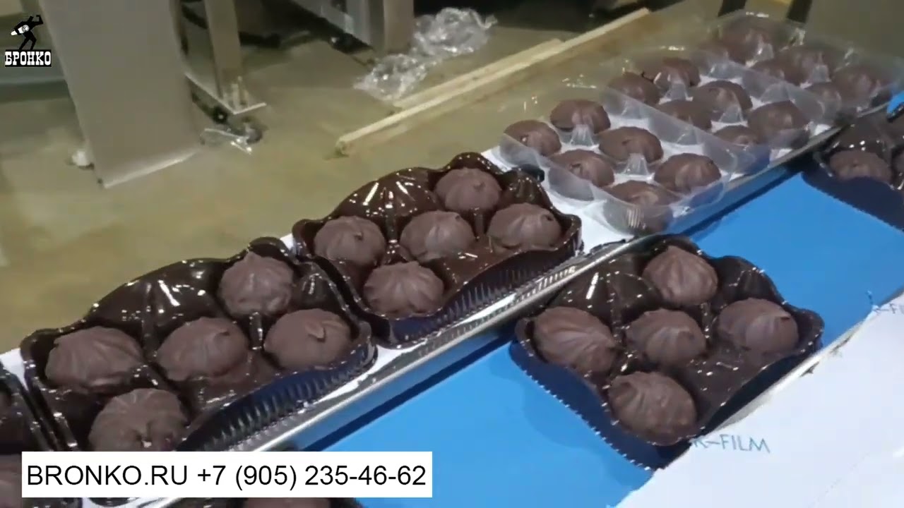 Горизонтально упаковочная машина Autoline 600PS  Упаковка зефира в шоколаде