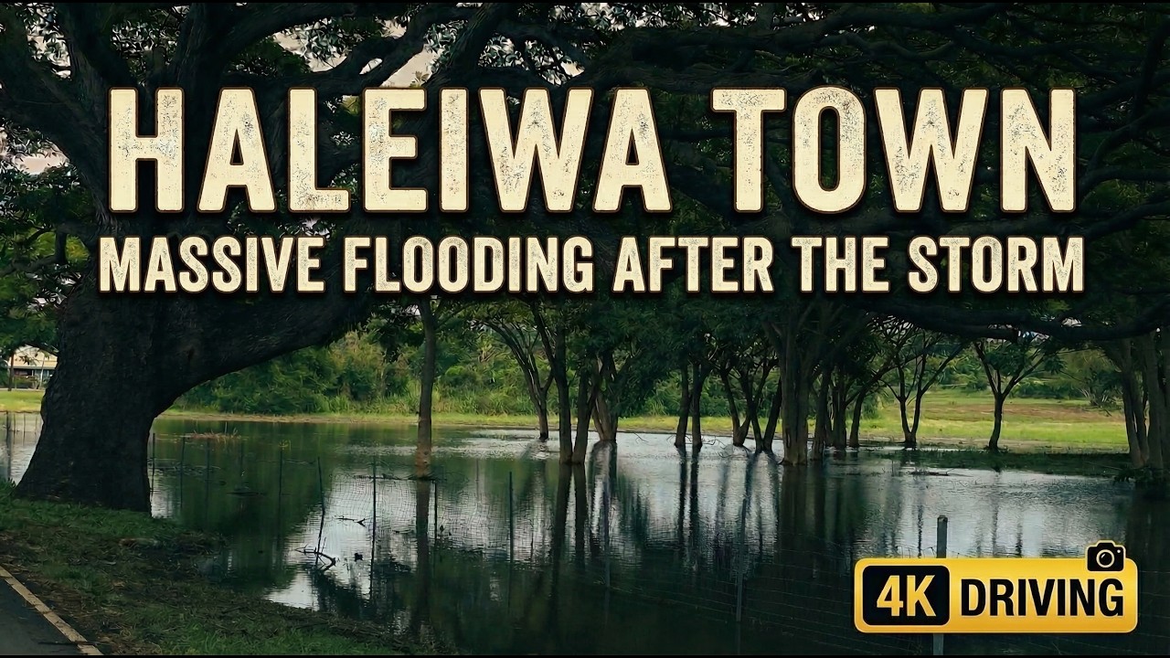 HALEIWA TOWN DRIVING | Massive Flooding After The Storm 🌴 Hawaii John