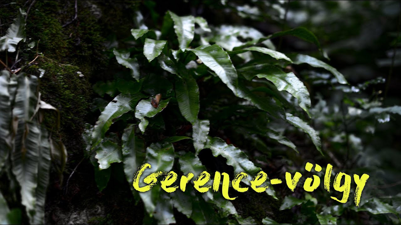 Gerence-v&ouml;lgy, a Bakony egyik legszebb helye