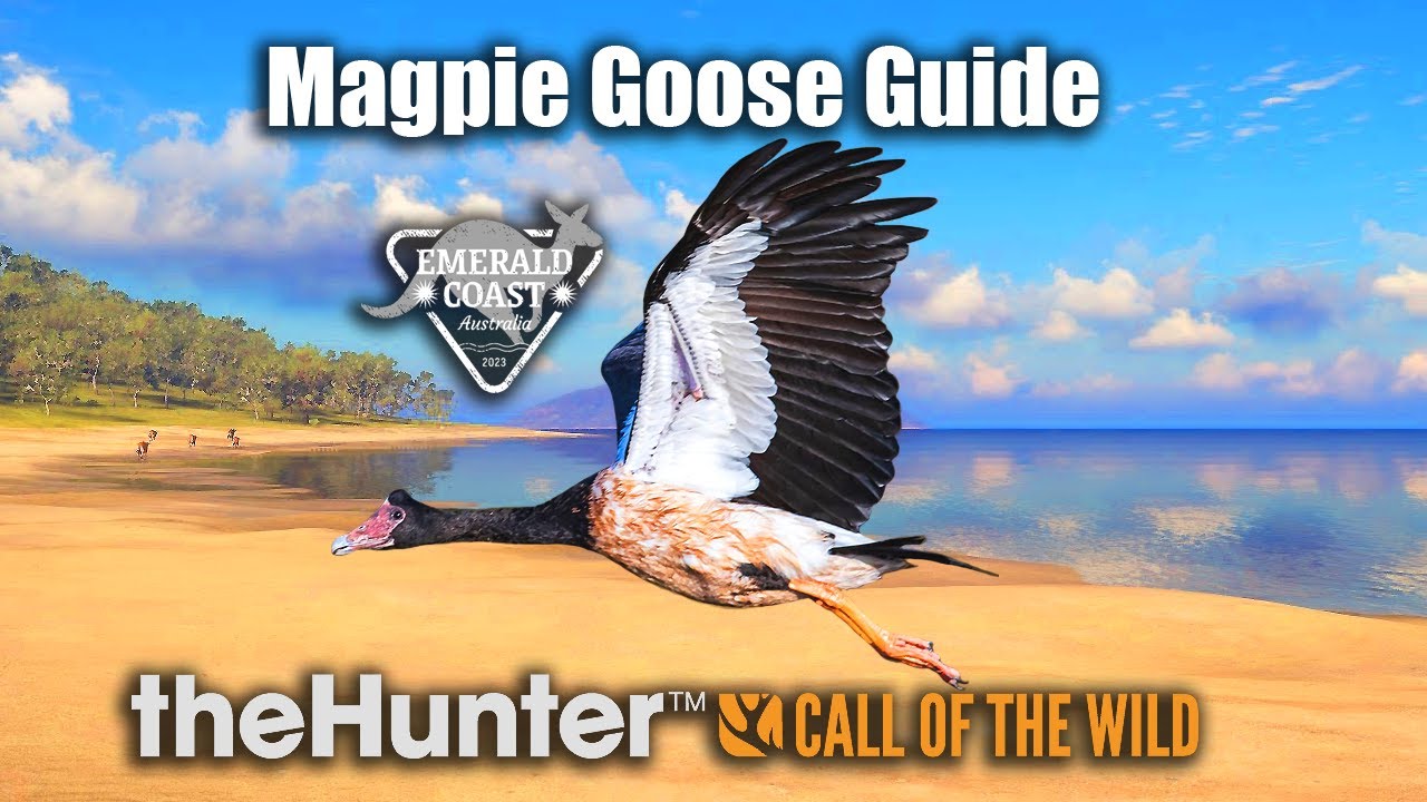 Путеводитель по сорокопутным гусям — Изумрудный берег Австралии — theHunter Call Of The Wild