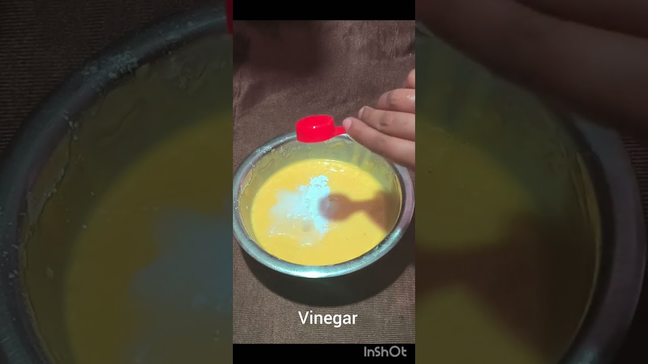 Tasty custard 🍮 cake 