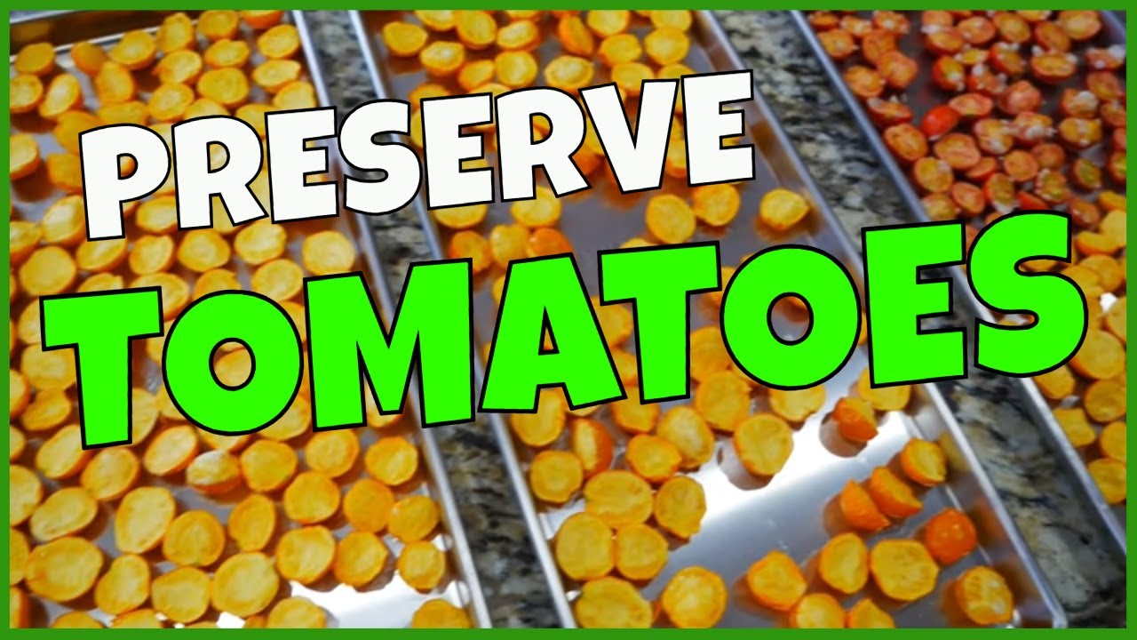 Freeze Drying Cherry Tomatoes (& Using Them)