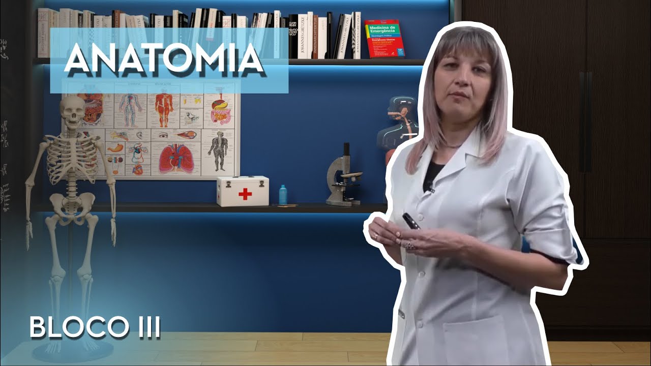 ANATOMIA - CURSO DE COMISSÁRIOS DE VOO (BLOCO III)