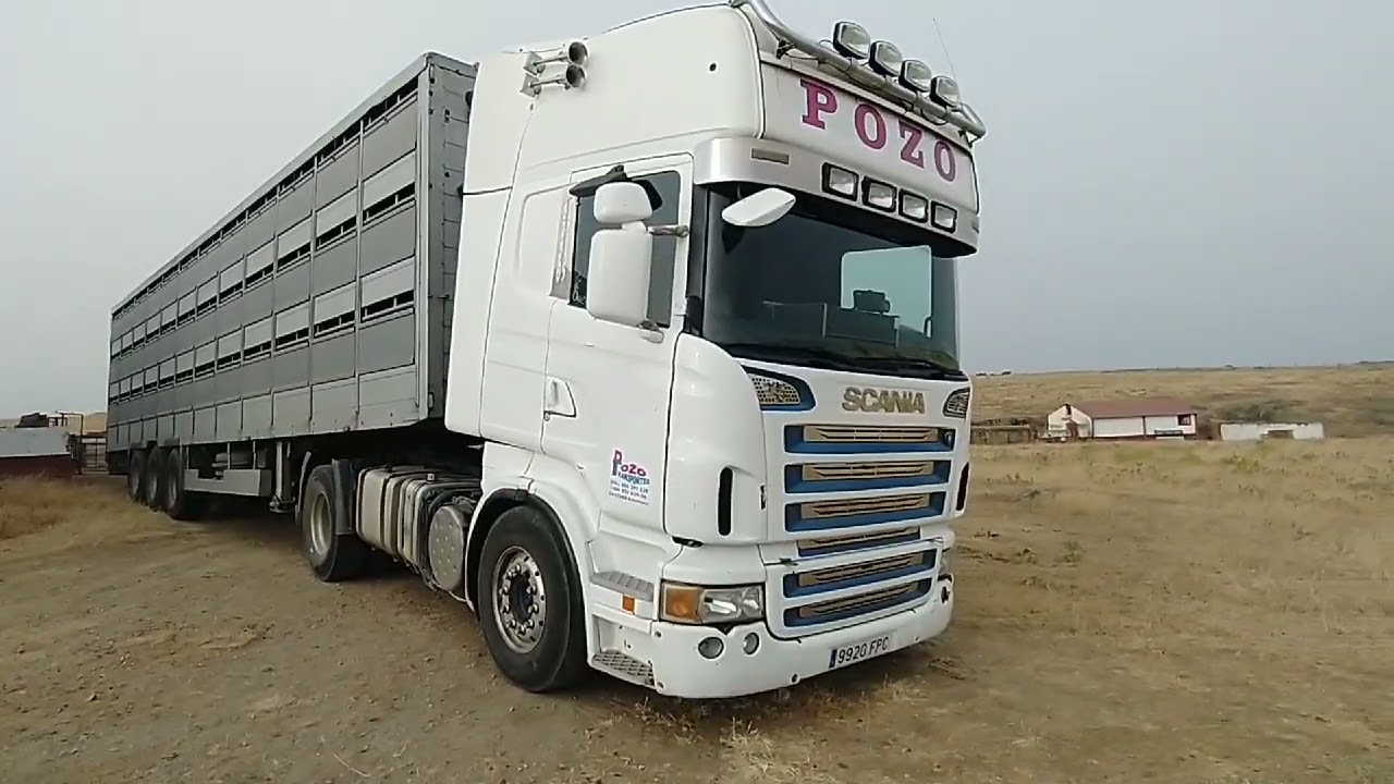 día de carga de corderos,por poco llenamos el trailer