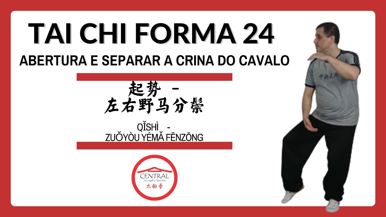 30 - Tai Chi - Forma 24 - Abertura e Separar a Crina do Cavalo