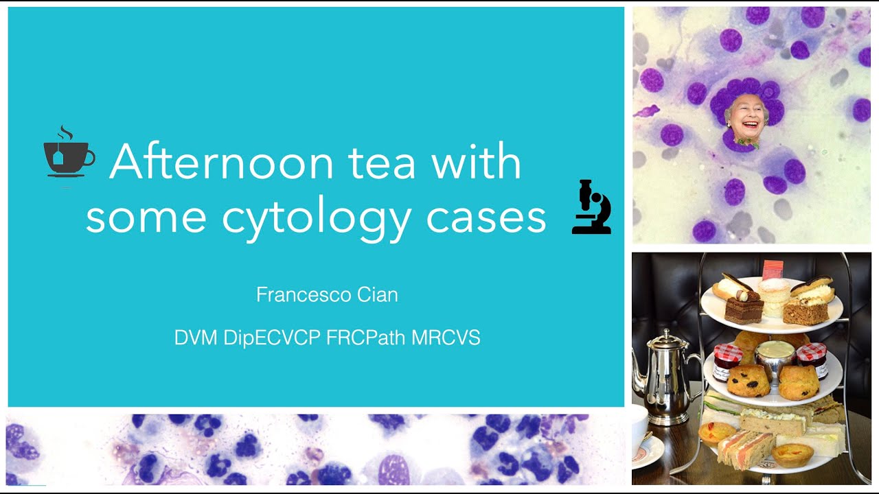 Afternoon tea with some cytology cases