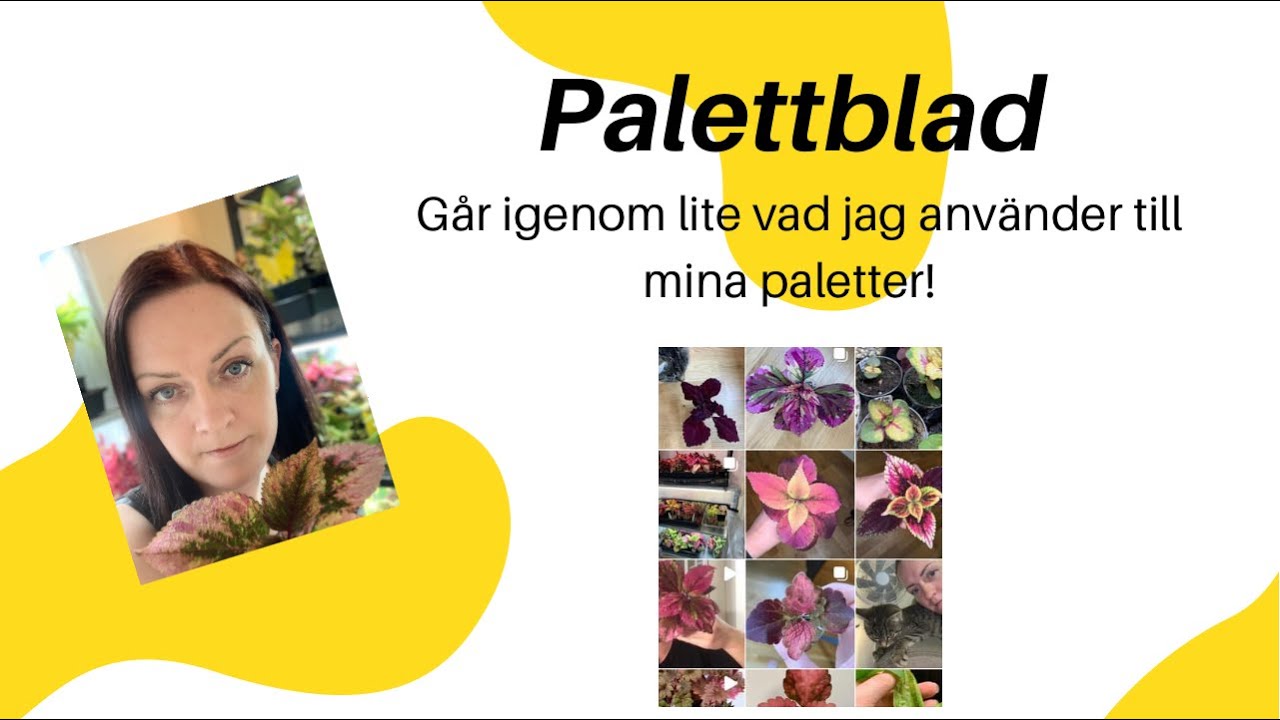 Det jag använder till mina paletter!