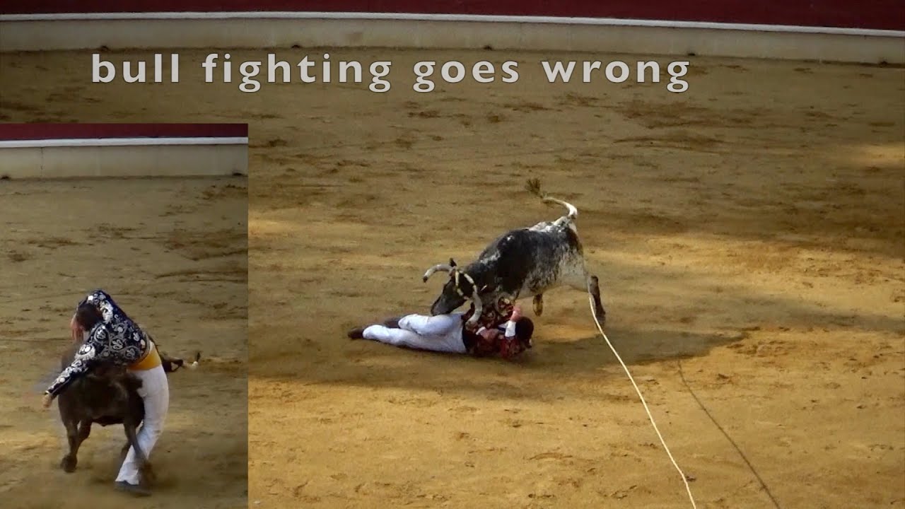 9 times bull jumping goes wrong