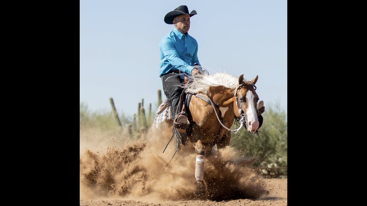 2021 Cactus Reining Classic  Wimpys All In, aka 