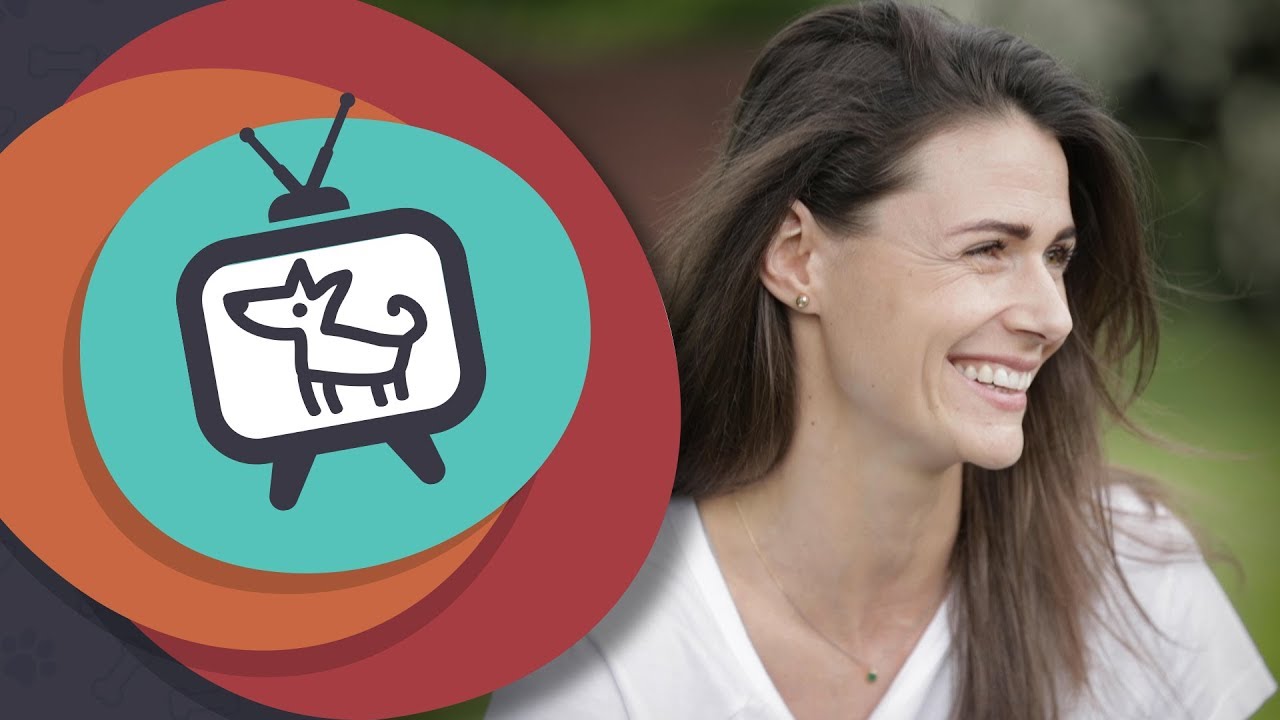 Dominika Homolová | Ako si adoptovať psíka?