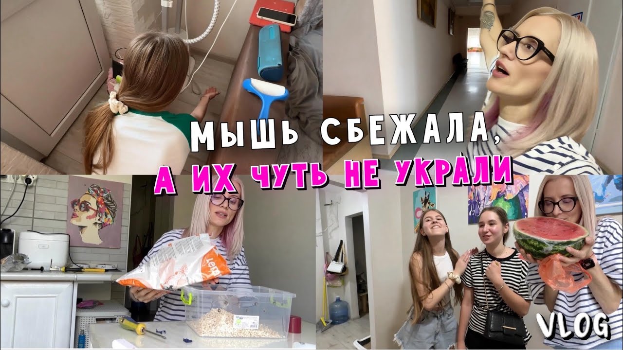 Сбежала мышка. Мастерю клетку. Результат пункции. Первый арбуз и побег девочек.