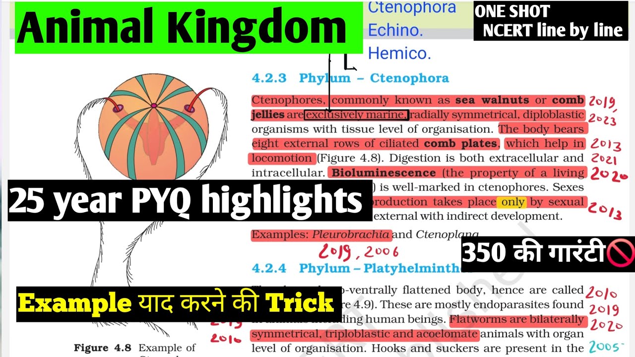Animal Kingdom ncert line by line #one shot || All NEET pyq highlights 👌 example trick 🩺 neet 2026
