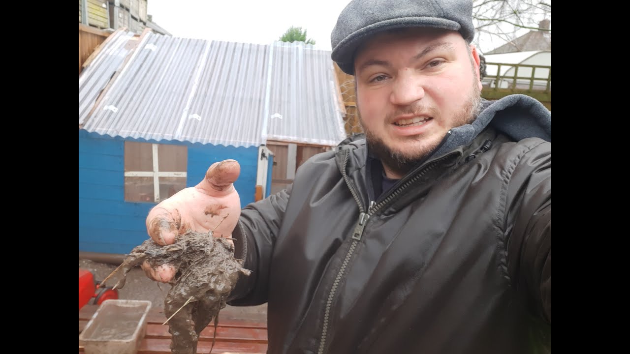 Chicken Keeping Guides   The Problems With Mud
