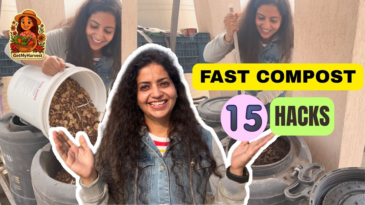 Balcony Composting Made Easy: 15 Hacks, Tricks & Accelerators 🌿✨