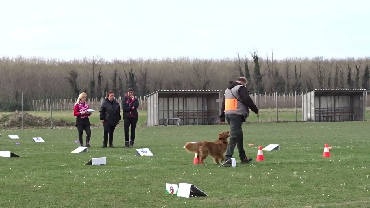 Easy & Massimo   G1   gara Rally Obedience CSEN   15 03 2026   Gorgo di Latisana UD
