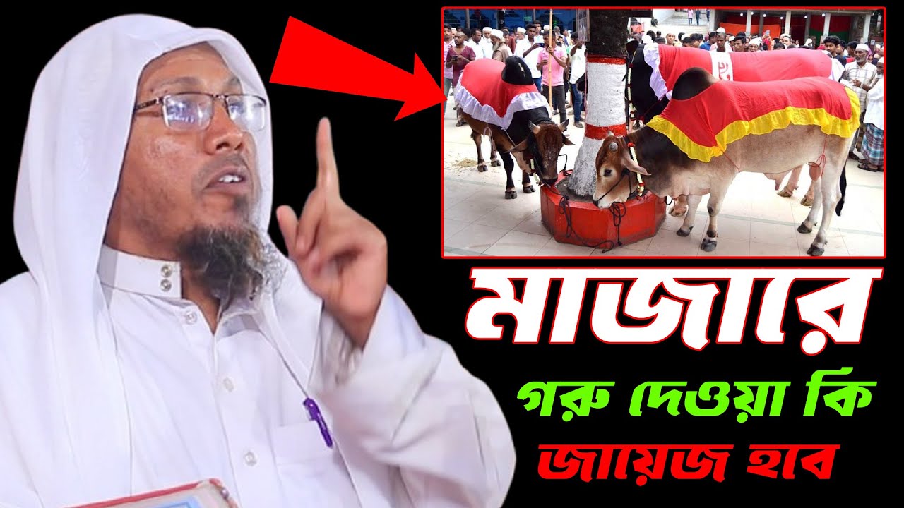 মIজারে গরু দেওয়া কি জাIয়ে'জ হবে। রফিক আফসারী নতুন ওয়াজ rofiqullah afsari new waz