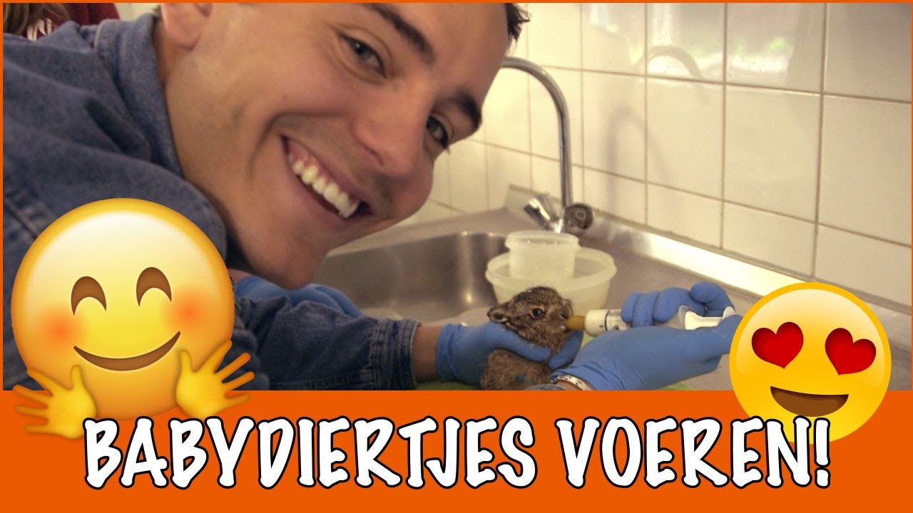Superschattige babydieren! | DierenpraatTV