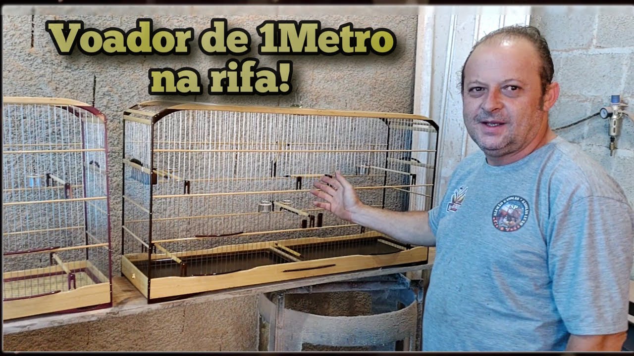 Voador de 1 metro na rifa
