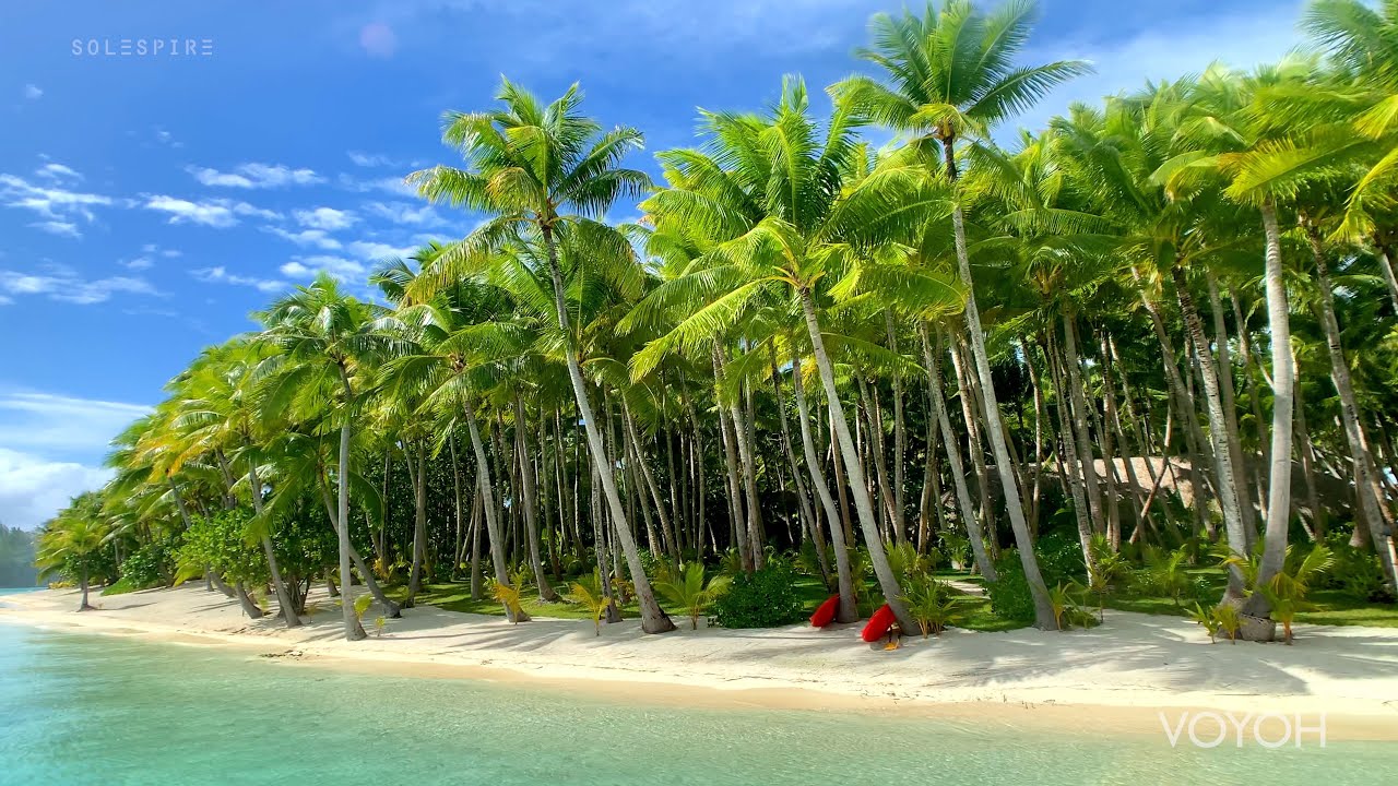 Musique house rêveuse | Explorez l'île de Motu Tane | Bora-Bora, Polynésie française | Voyage 4K