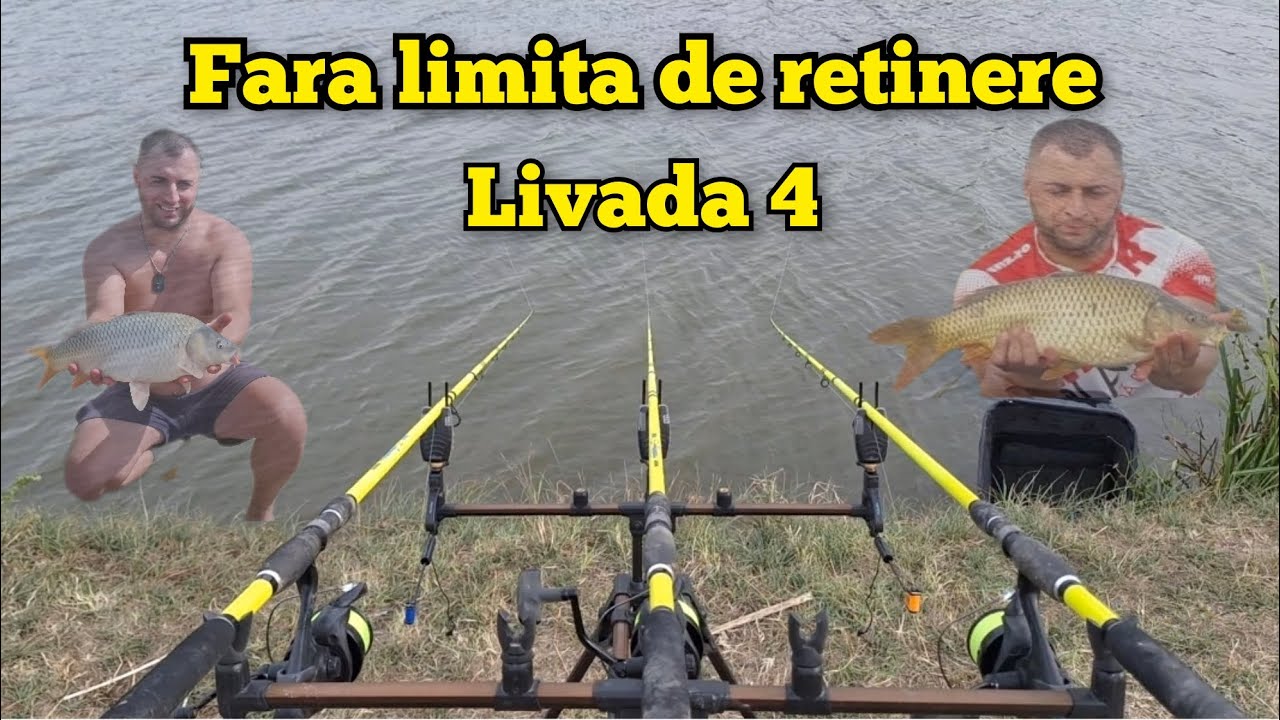 Pescuit la Crap pe balta fara limita de retinere Belciugatele Livada 4