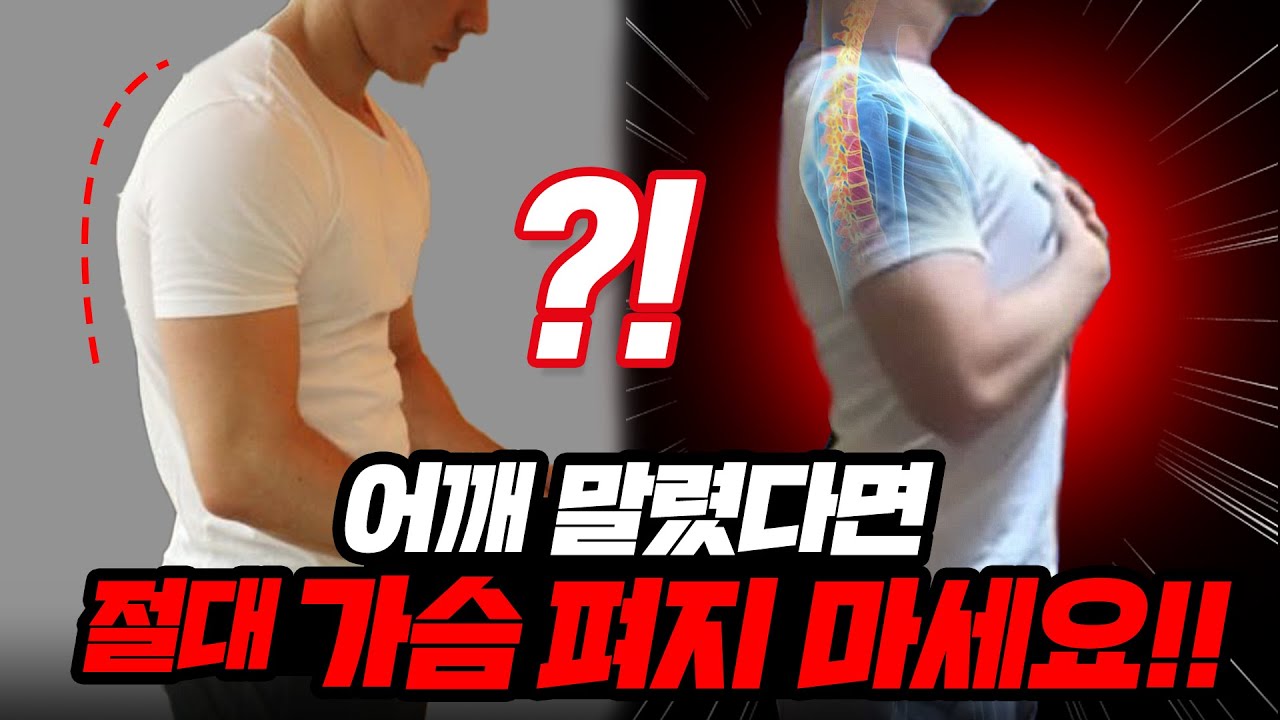 아...이래서 가슴펴지 말라고 하는구나...ㄷㄷ 어깨 말린분들(라운드숄더) 꼭 보세요!!!
