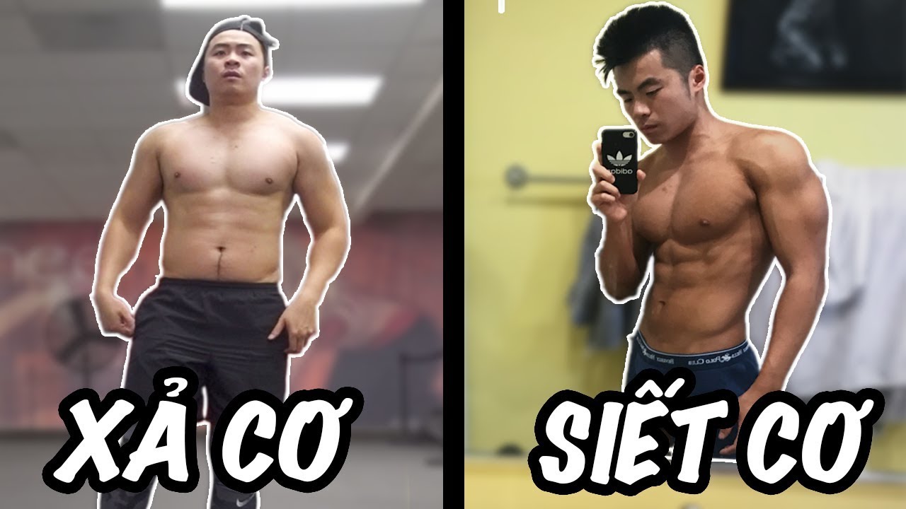 XẢ CƠ VÀ SIẾT CƠ LÀ GÌ ?? | BULKING & CUTTING