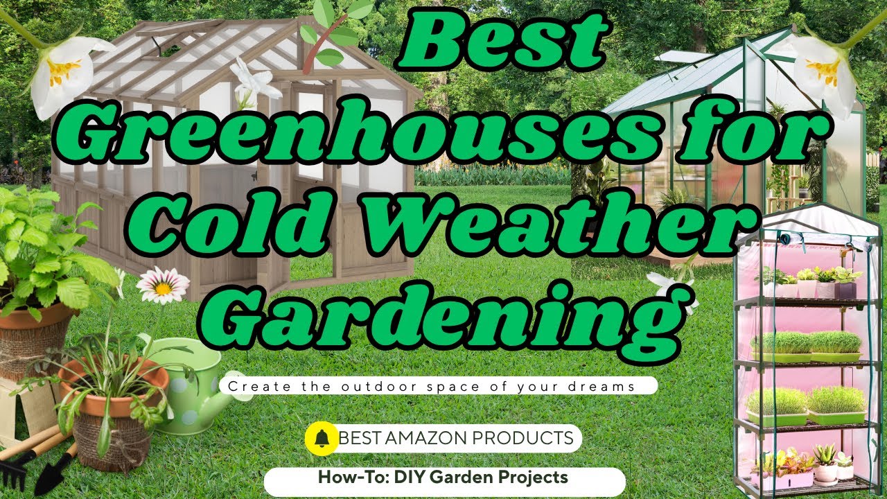 🌿Protect Your Plants From Winter With These Cool Greenhouses!❄️🌱