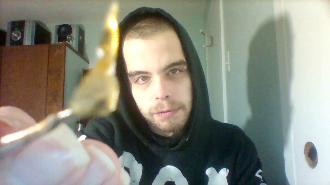 BLUEBERRY CO2 SHATTER