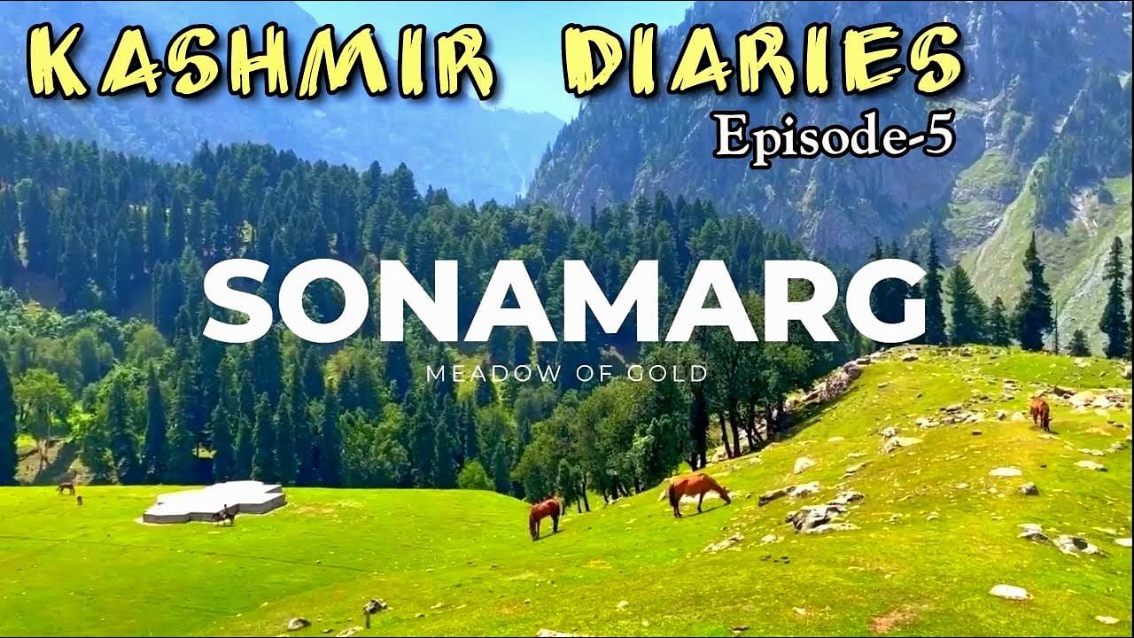 Sonmarg Kashmir | Thajiwas Glacier & Zero Point Tour | What to See & Do in the 