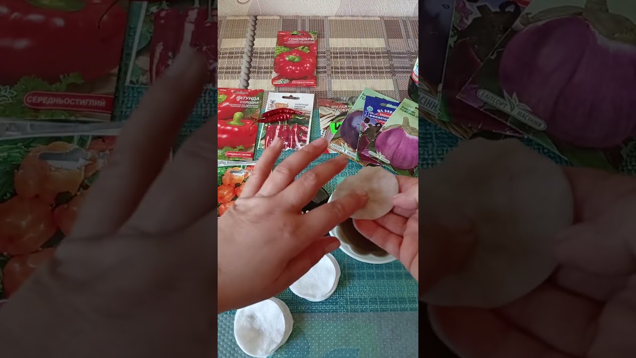 Замочування насіння 