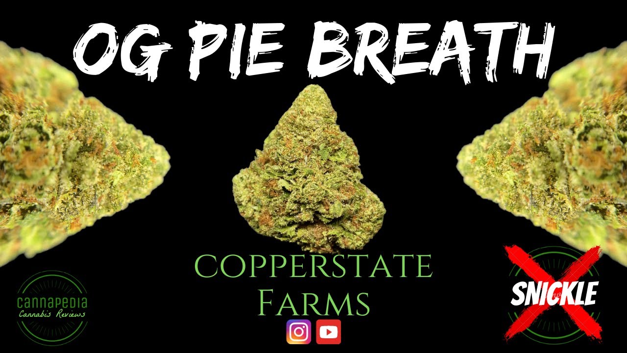 OG Pie Breath Strain Review - Copperstate Farms - Cannapedia