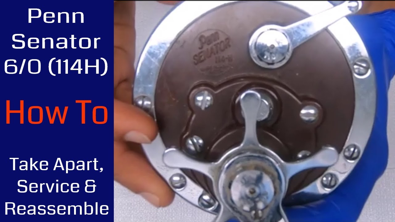 Penn Senator 6/0 (114H) Fishing Reel - How to take apart, service and reassemble