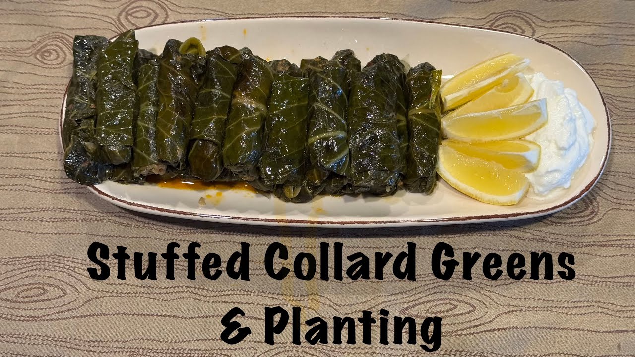 Stuffed Collard Greens & Planting 02/24, 2026